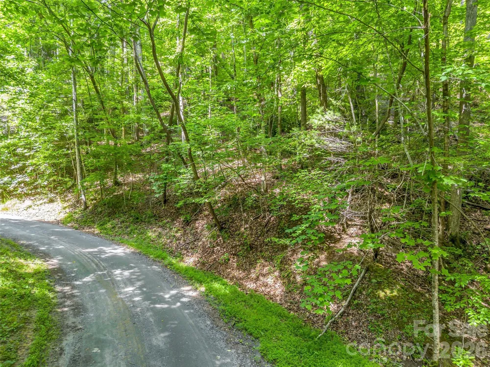 00 Chipmonk Trail #107 Lake Lure, NC 28746