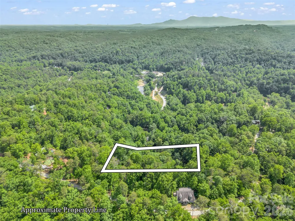 00 Chipmonk Trail #107 Lake Lure, NC 28746