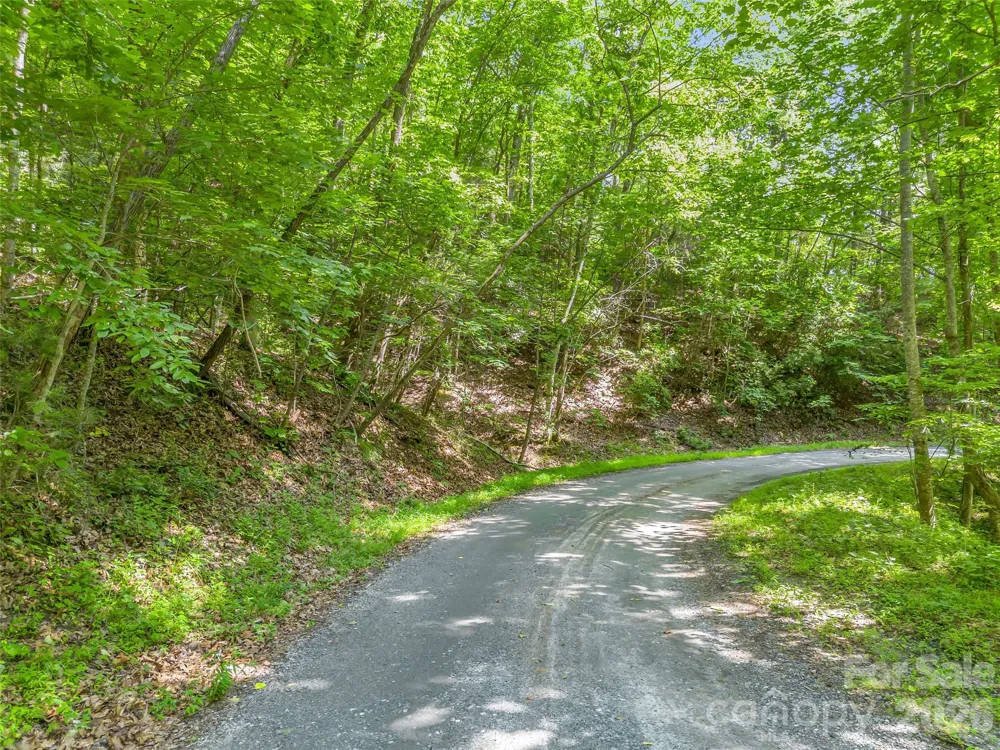 00 Chipmonk Trail #107 Lake Lure, NC 28746