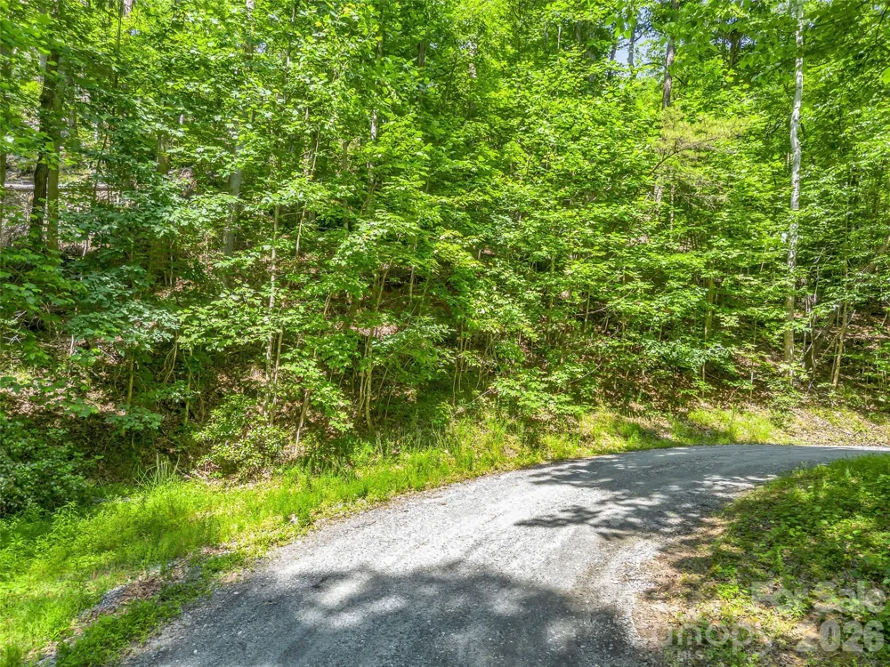 00 Chipmonk Trail #107 Lake Lure, NC 28746