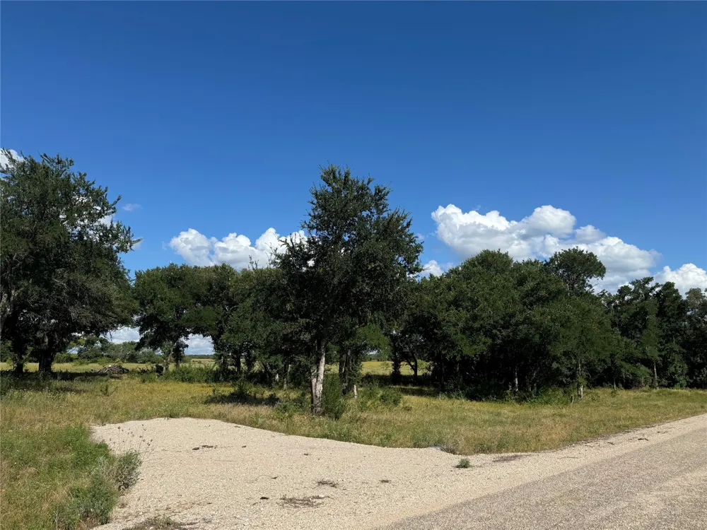Canyon Ranch Road Palo Pinto, TX 76484