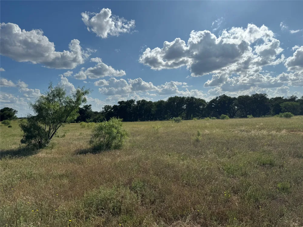 Canyon Ranch Road Palo Pinto, TX 76484