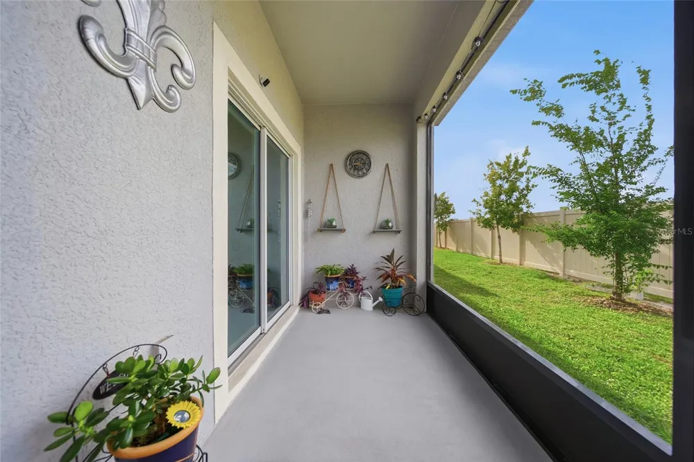 32041 POWDERPUFF MIMOSA DRIVE San Antonio, FL 33576