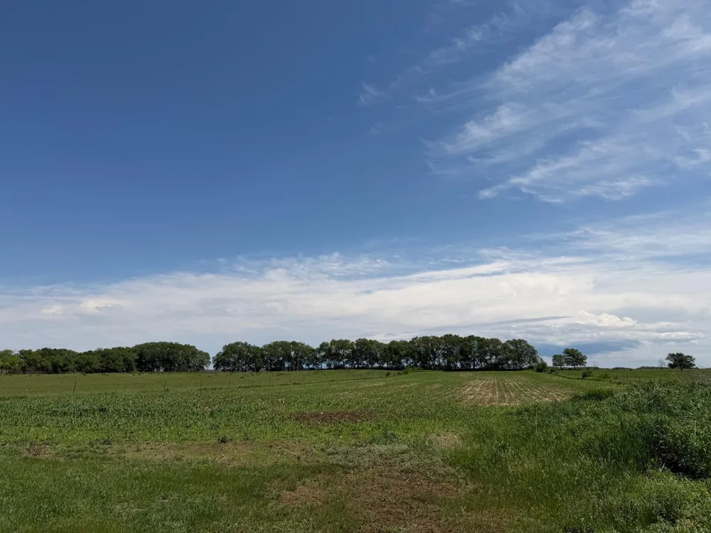 17504 231st Avenue Long Prairie, MN 56347