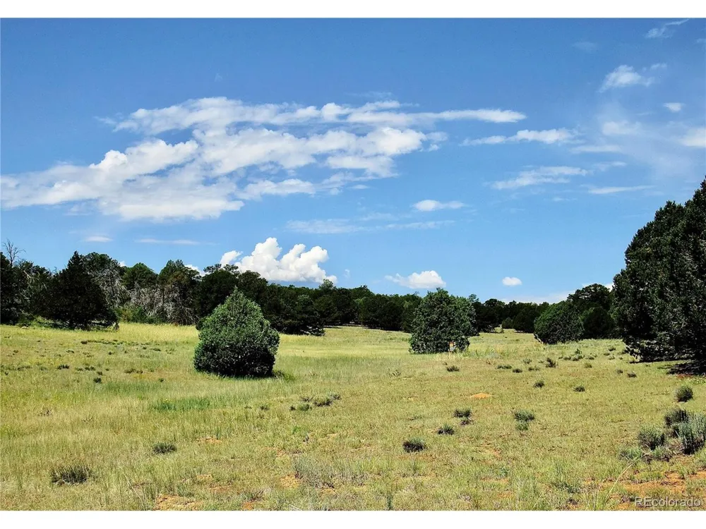 395 Fox Fire Trail Cotopaxi, CO 81223