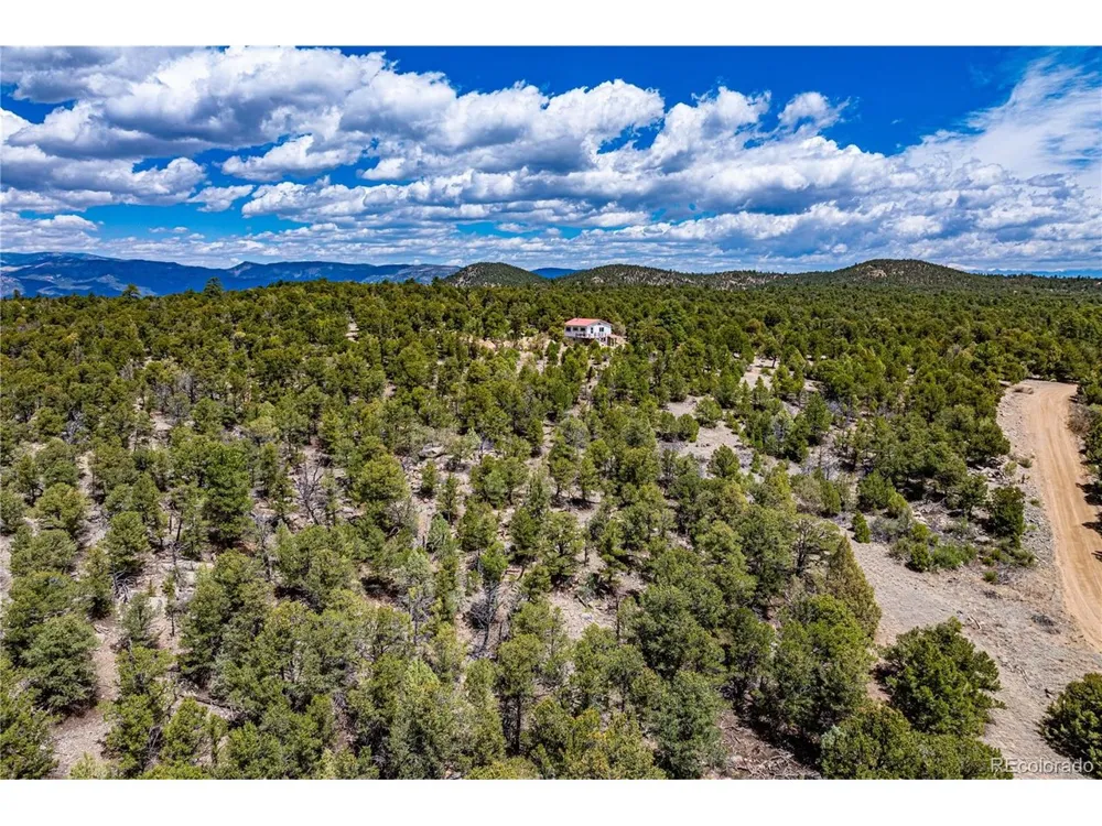 395 Fox Fire Trail Cotopaxi, CO 81223