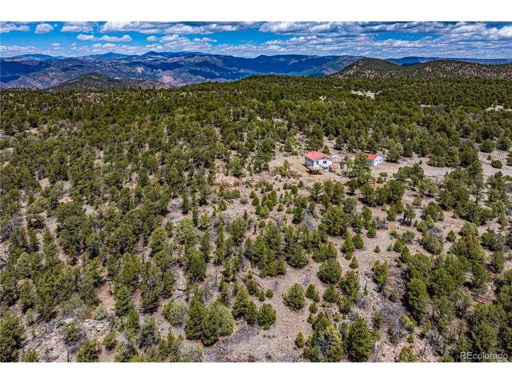395 Fox Fire Trail Cotopaxi, CO 81223