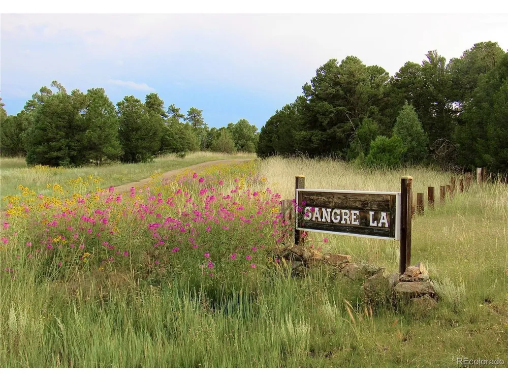 395 Fox Fire Trail Cotopaxi, CO 81223