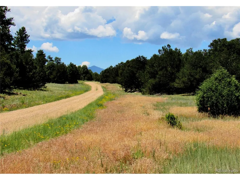 395 Fox Fire Trail Cotopaxi, CO 81223