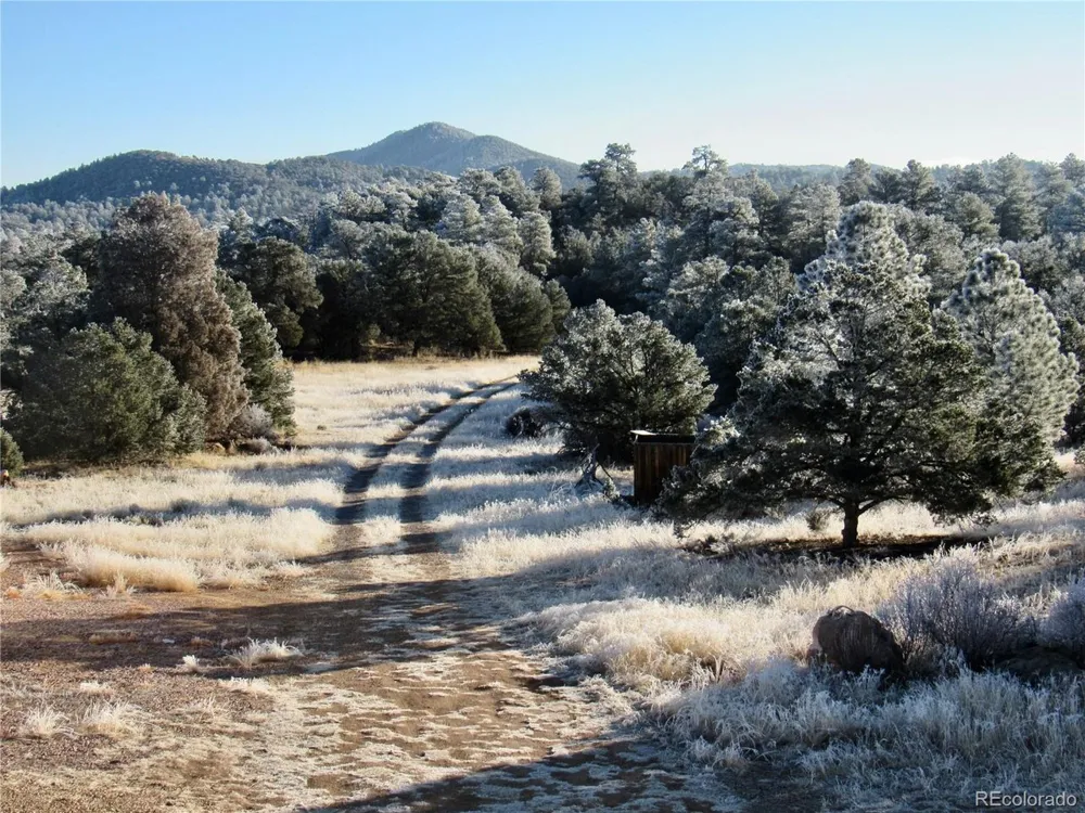395 Fox Fire Trail Cotopaxi, CO 81223