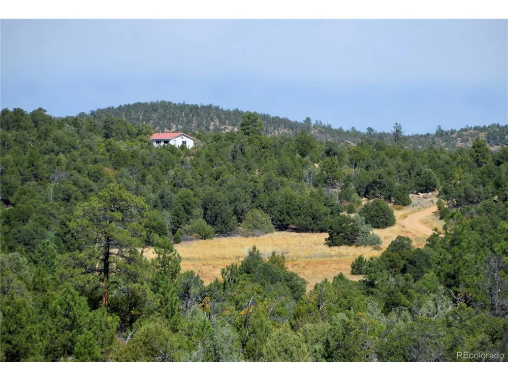 395 Fox Fire Trail Cotopaxi, CO 81223