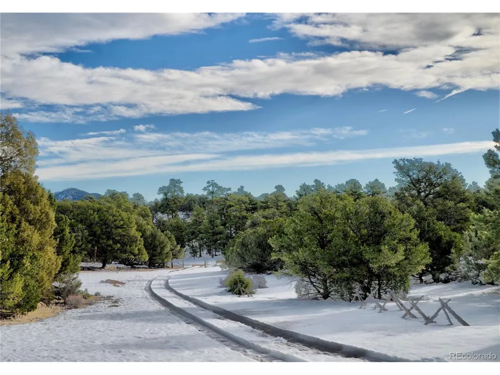 395 Fox Fire Trail Cotopaxi, CO 81223