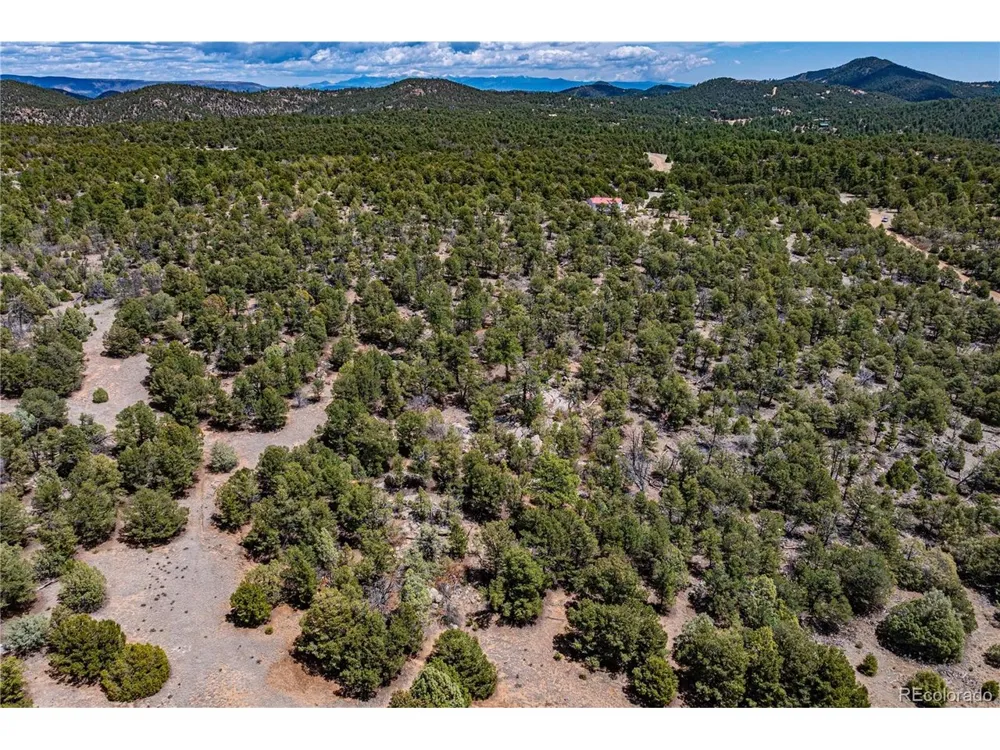 395 Fox Fire Trail Cotopaxi, CO 81223