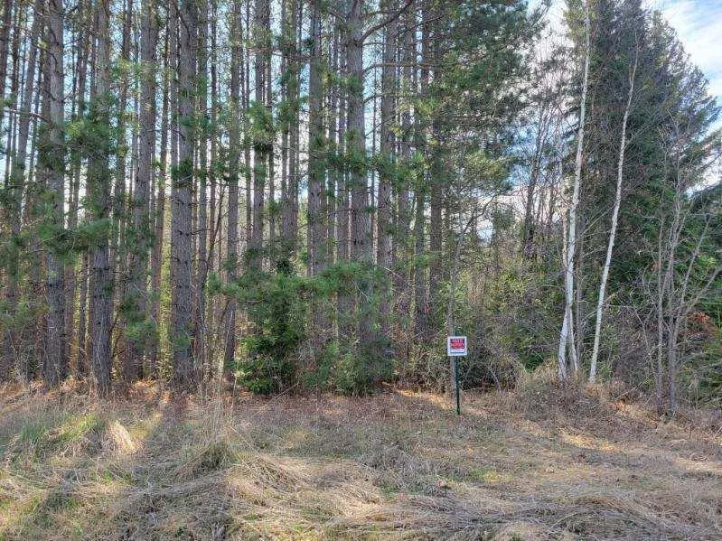 TBD 695th Avenue Roosevelt, MN 56673