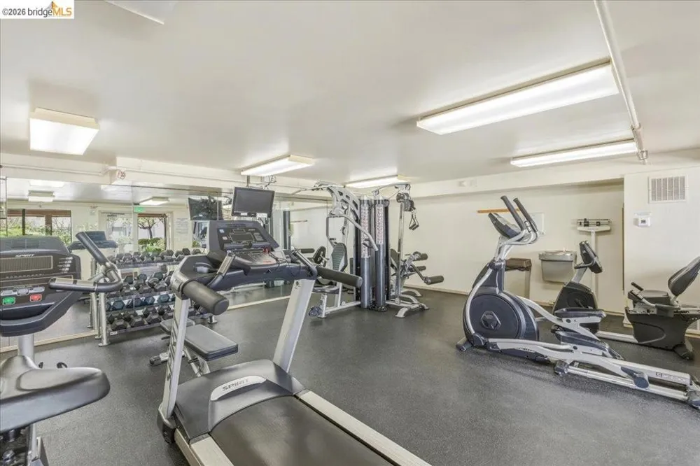 545 Pierce St #2313 Albany, CA 94706