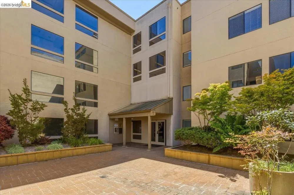 545 Pierce St #2313 Albany, CA 94706