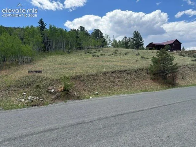 7142 County Road 92 Lake George, CO 80827