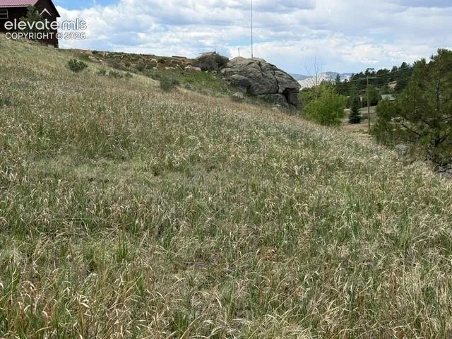 7142 County Road 92 Lake George, CO 80827