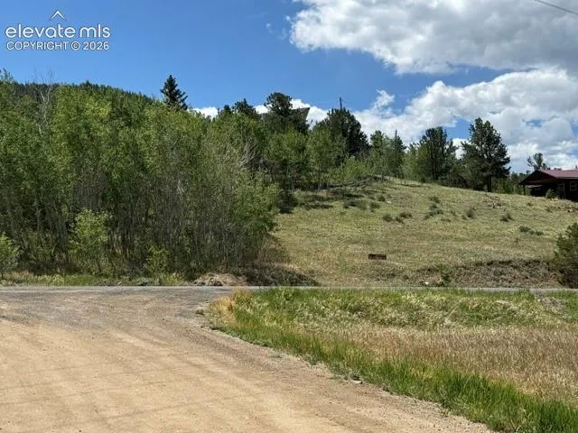 7142 County Road 92 Lake George, CO 80827