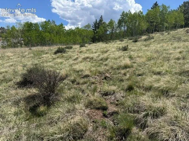 7142 County Road 92 Lake George, CO 80827