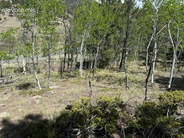 7142 County Road 92 Lake George, CO 80827