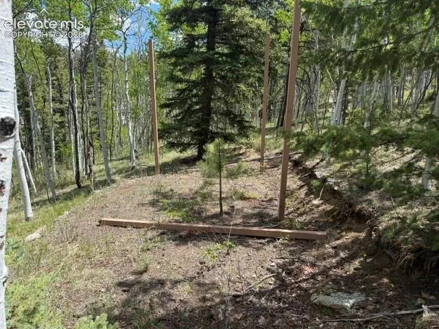 7142 County Road 92 Lake George, CO 80827