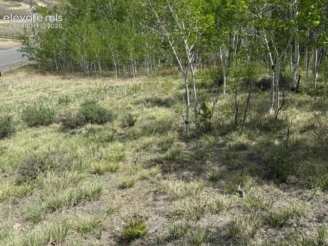 7142 County Road 92 Lake George, CO 80827