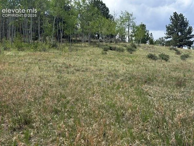 7142 County Road 92 Lake George, CO 80827