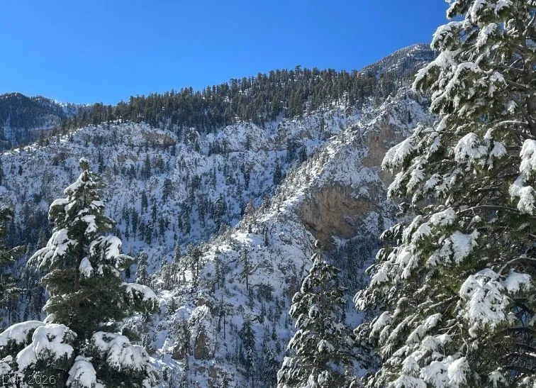 4187 Matterhorn Way Mount Charleston, NV 89124