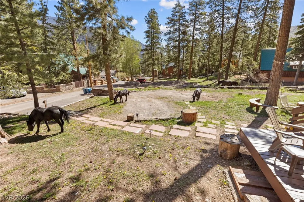 4187 Matterhorn Way Mount Charleston, NV 89124