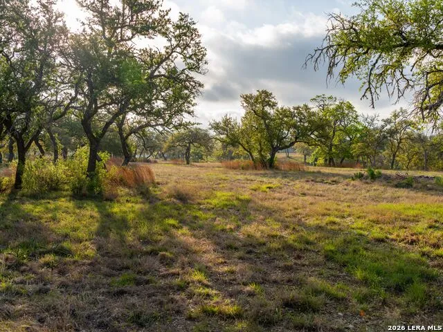 77 Last Trl Fredericksburg, TX 78624