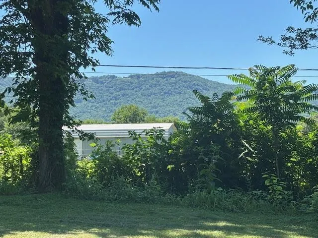 194 Patton Road Pikeville, TN 37367