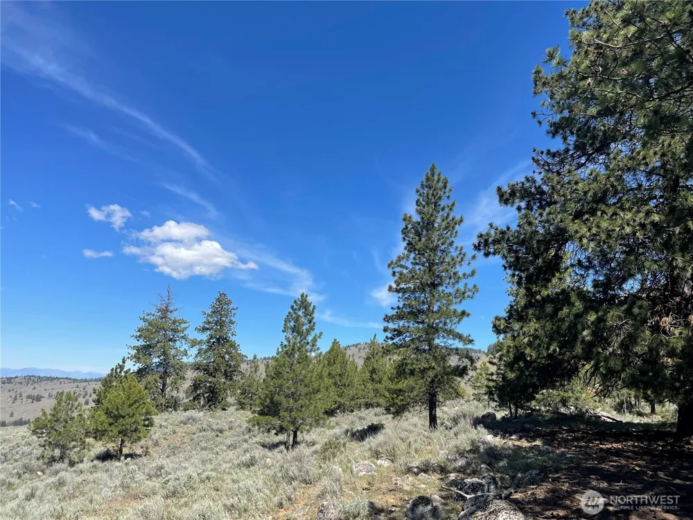 0 111 One Sky View Drive Tonasket, WA 98855