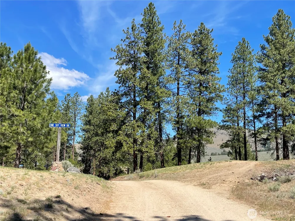 0 111 One Sky View Drive Tonasket, WA 98855