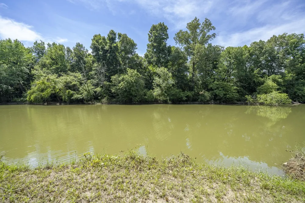 540 TEAL LN Savannah, TN 38372
