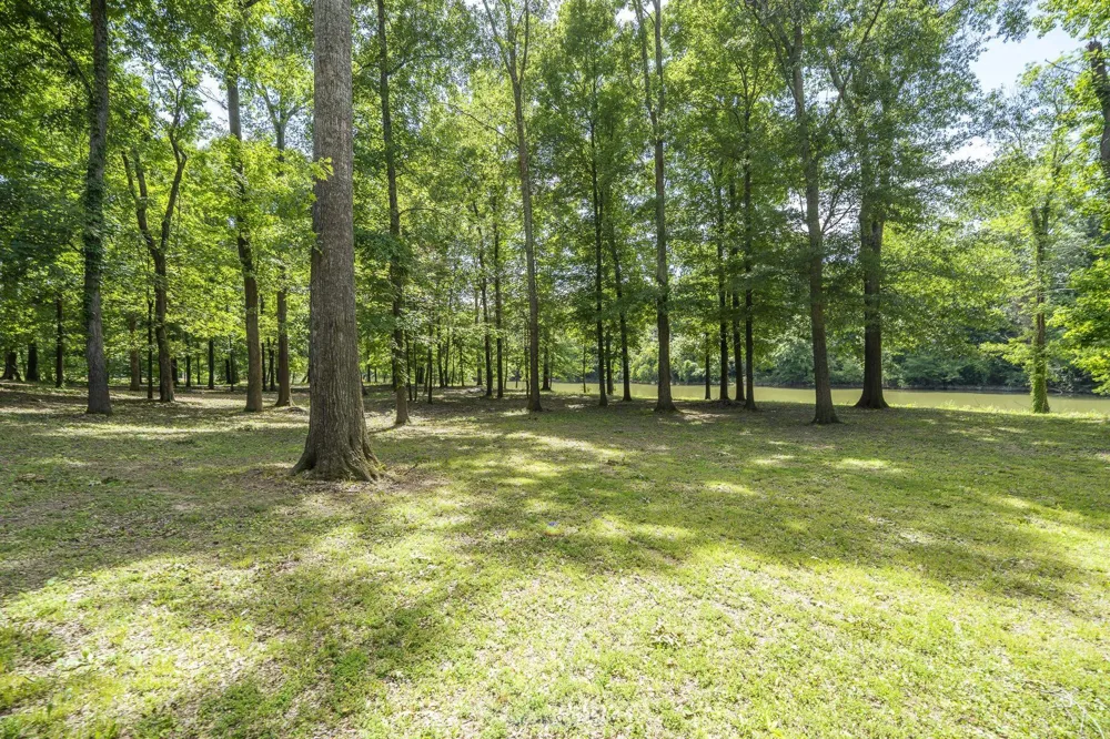 540 TEAL LN Savannah, TN 38372