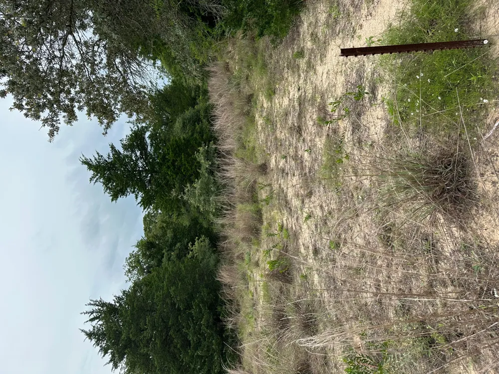 58 Pecan Drive Caldwell, TX 77836