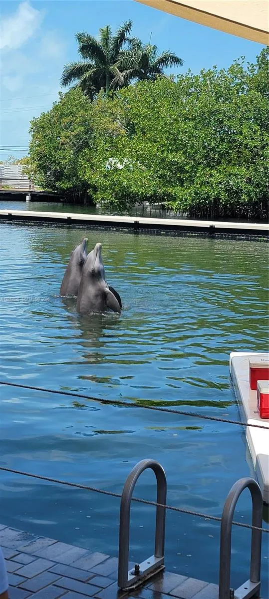 51 W Plaza Del Lago #. Islamorada, FL 33036