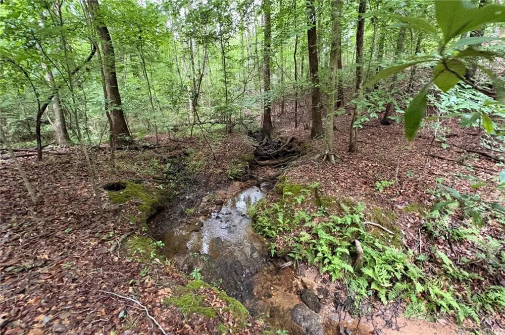 0 Lanette Circle Barnesville, GA 30204