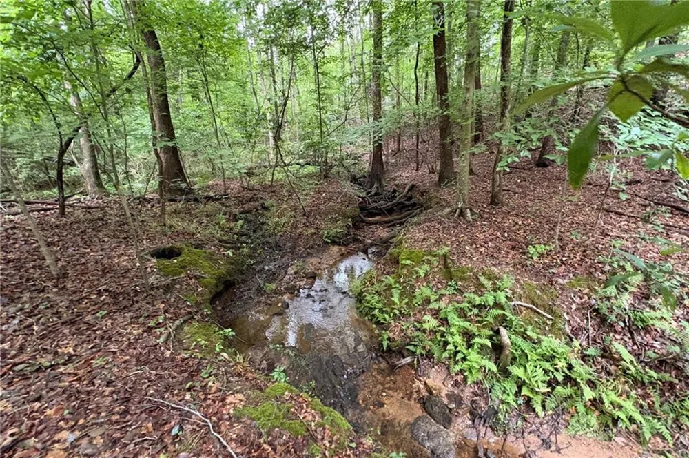 0 Lanette Circle Barnesville, GA 30204