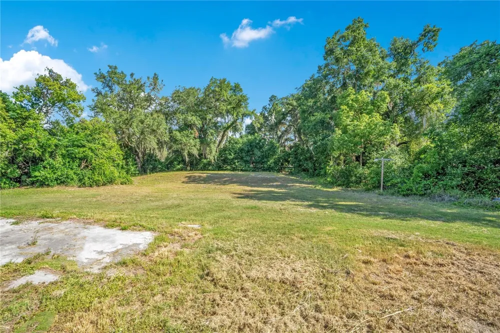 818 LAKE AGNES DRIVE Polk City, FL 33868