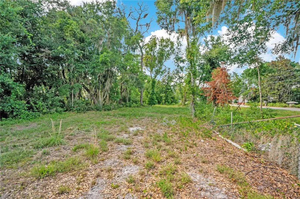 818 LAKE AGNES DRIVE Polk City, FL 33868