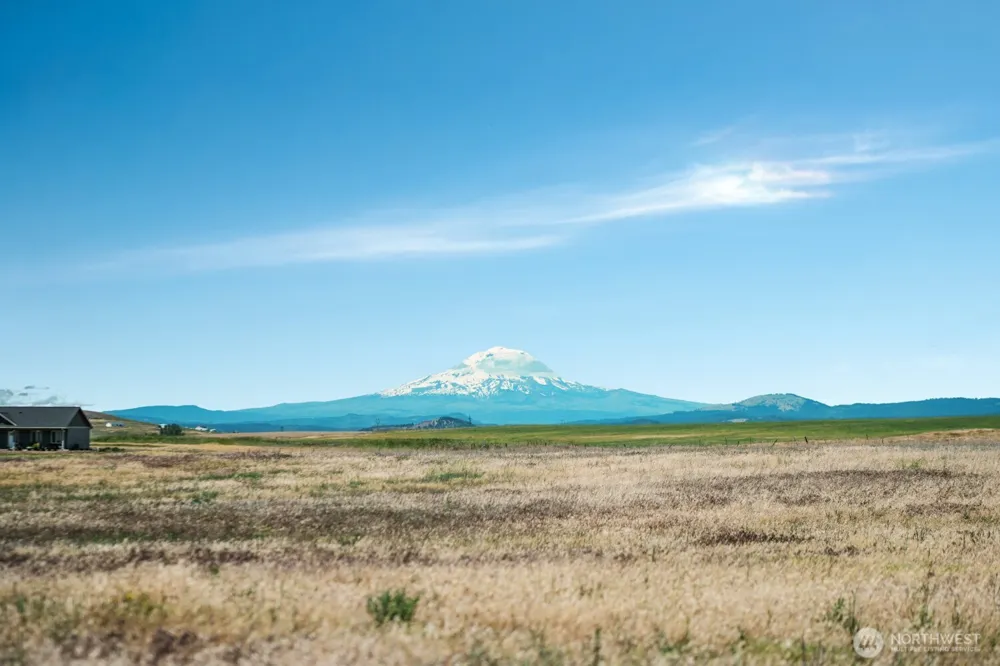 15 David Drive Goldendale, WA 98620