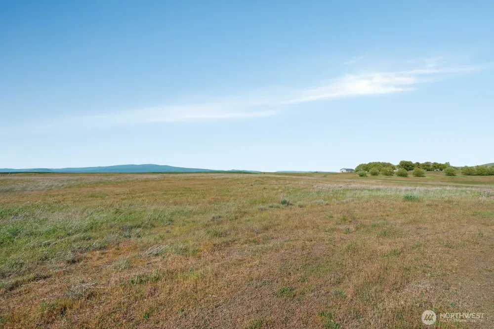 15 David Drive Goldendale, WA 98620