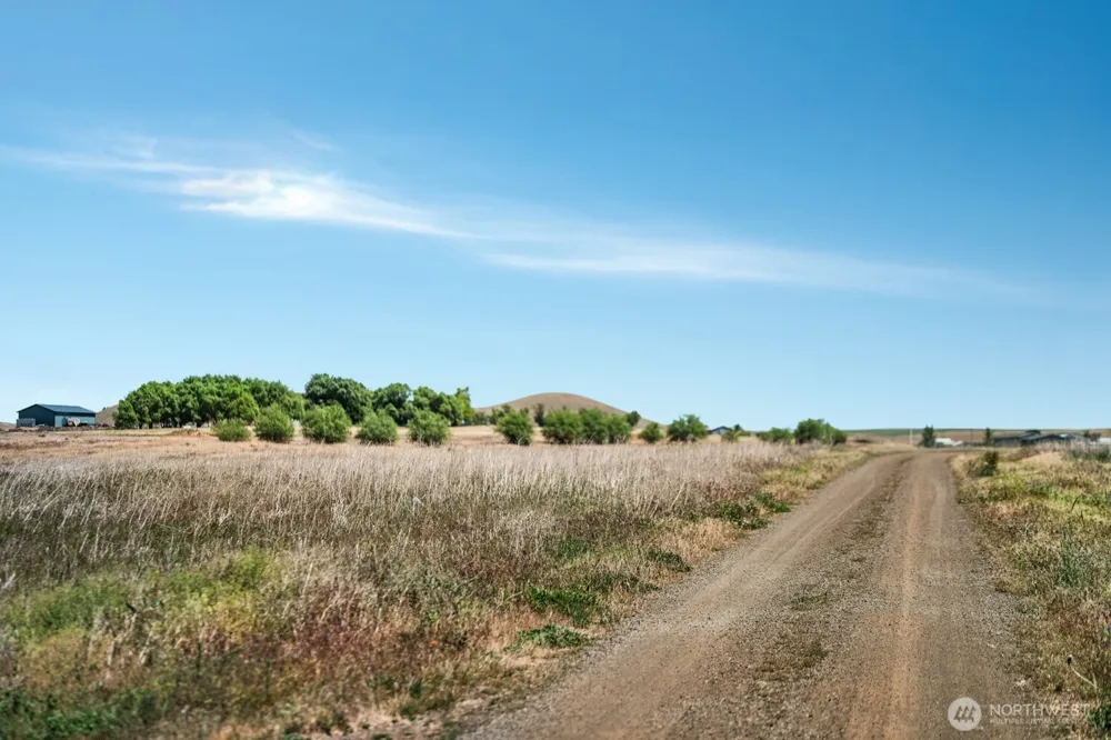 15 David Drive Goldendale, WA 98620