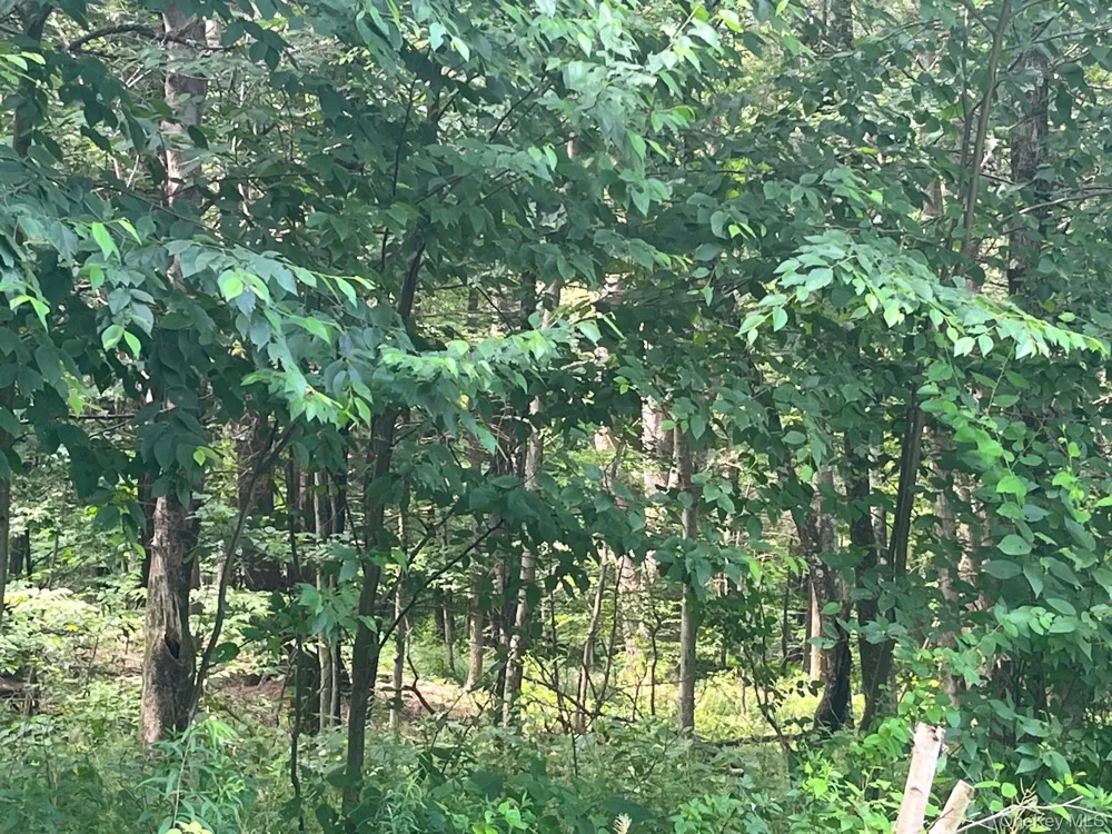 Mount Ross Road Pine Plains, NY 12567