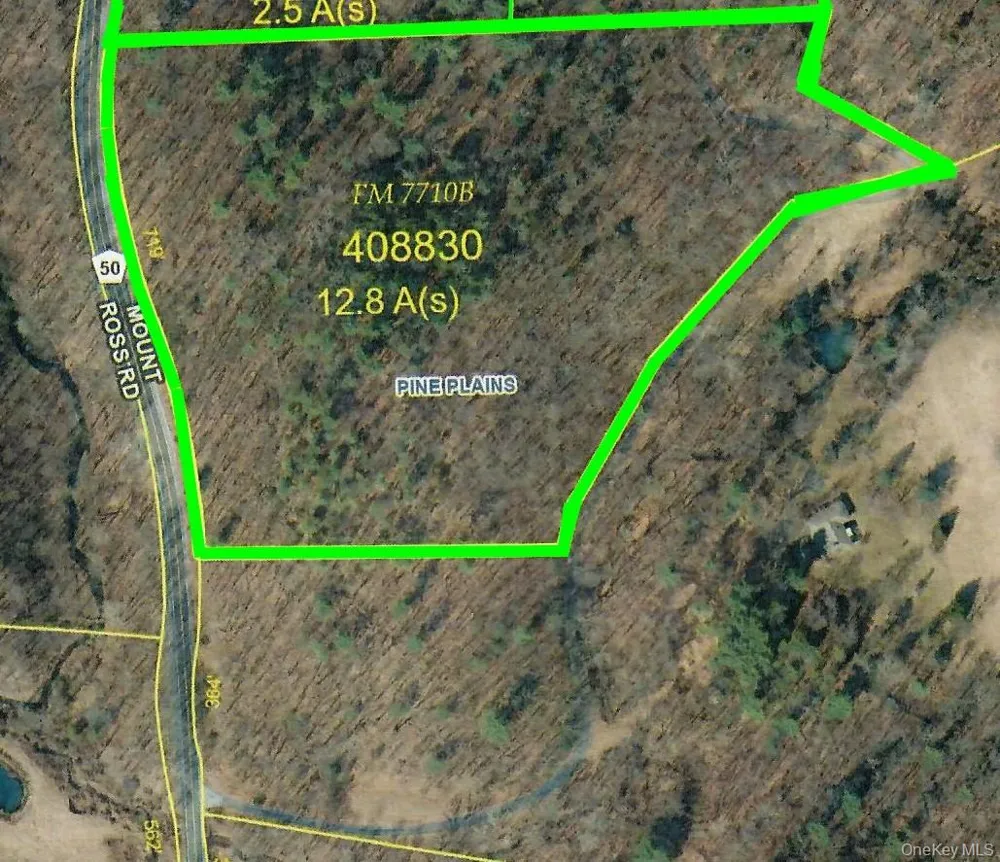 Mount Ross Road Pine Plains, NY 12567