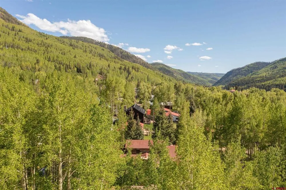 106 E Hinkley Drive Rico, CO 81332