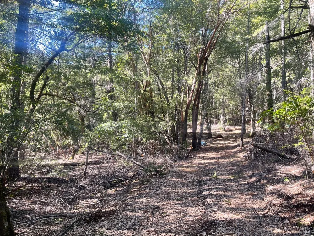 53800 Highway 101 Laytonville, CA 95454