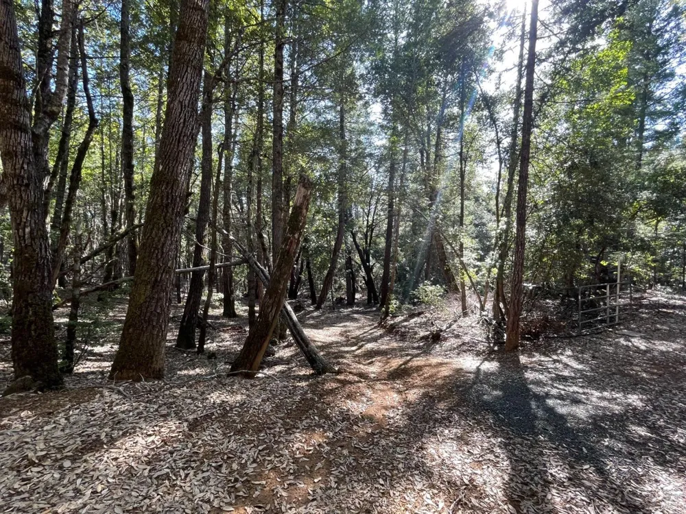 53800 Highway 101 Laytonville, CA 95454